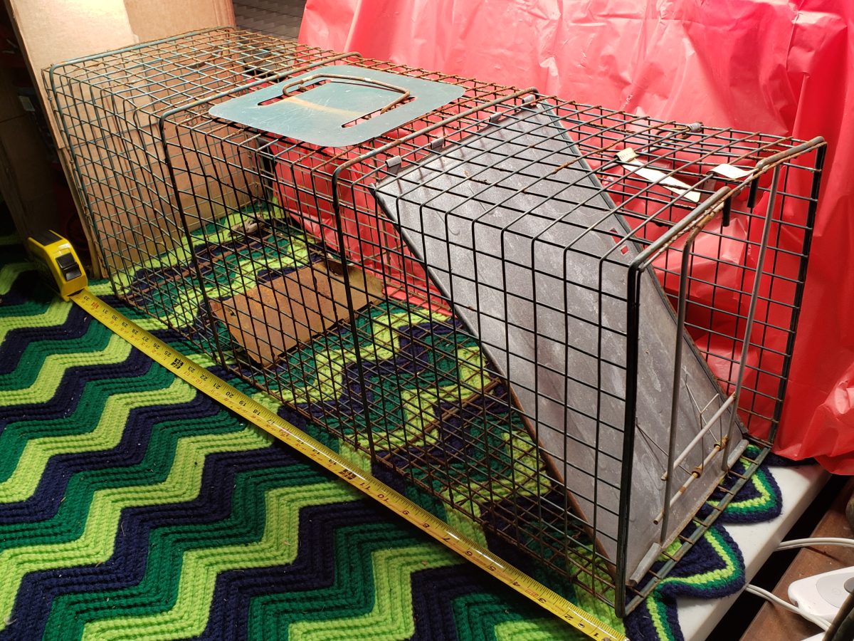 Wire Animal Trap/Cage